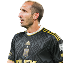 G. Chiellini