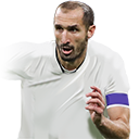 G. Chiellini